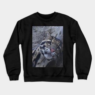 Clouded Leopard Crewneck Sweatshirt